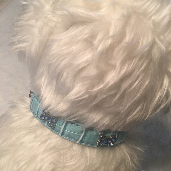 Pet Collar Aqua with Blue Rhinestone Details - Picture 1 of 10